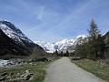 004_Piz Palue_Juni_2014